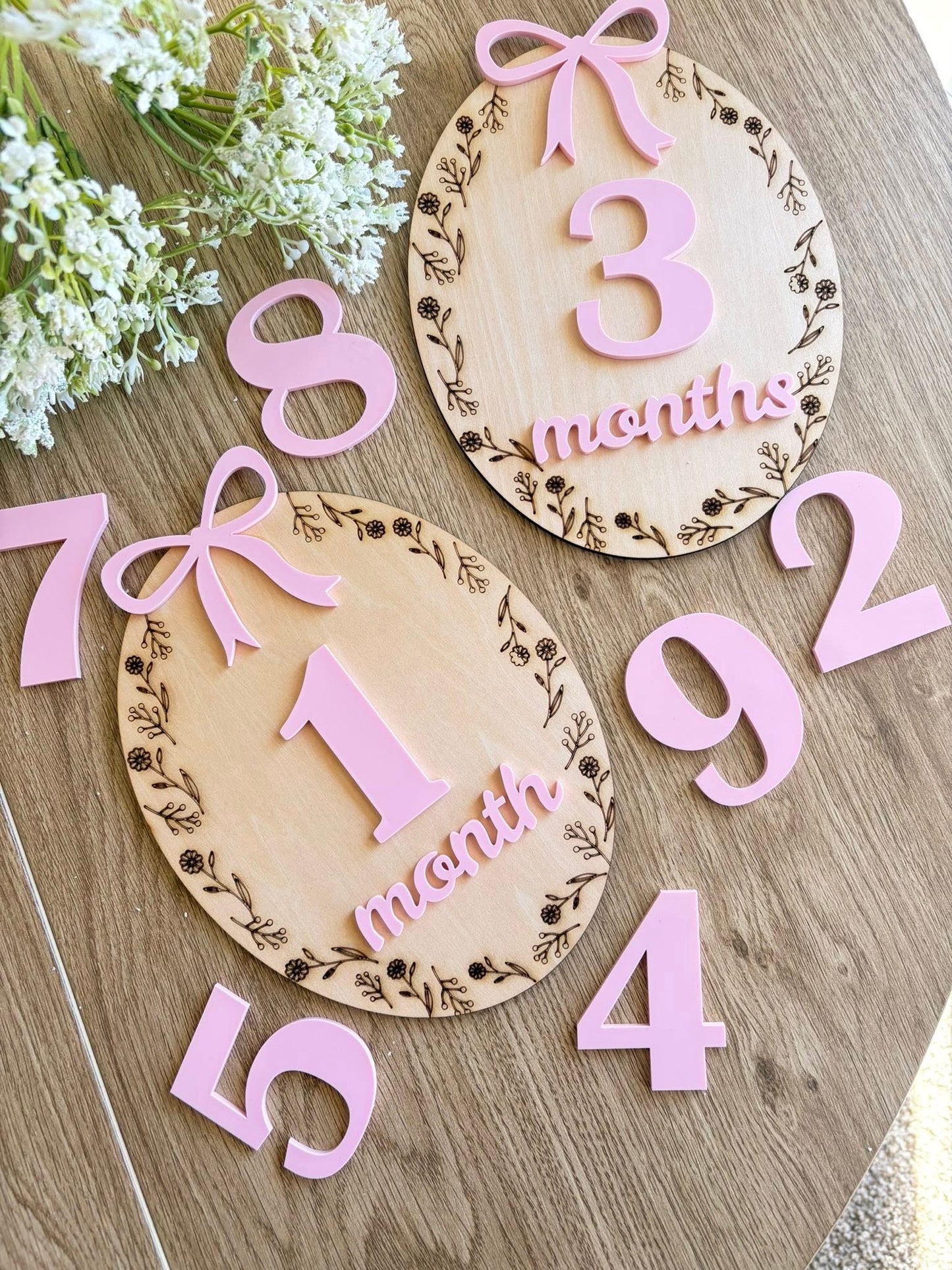 BABY MONTHLY MILESTONES DISC