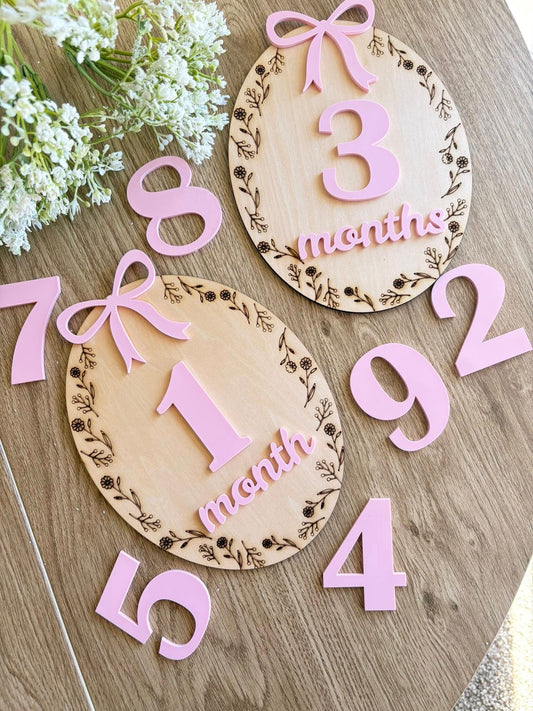 BABY MONTHLY MILESTONES DISC