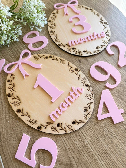 BABY MONTHLY MILESTONES DISC